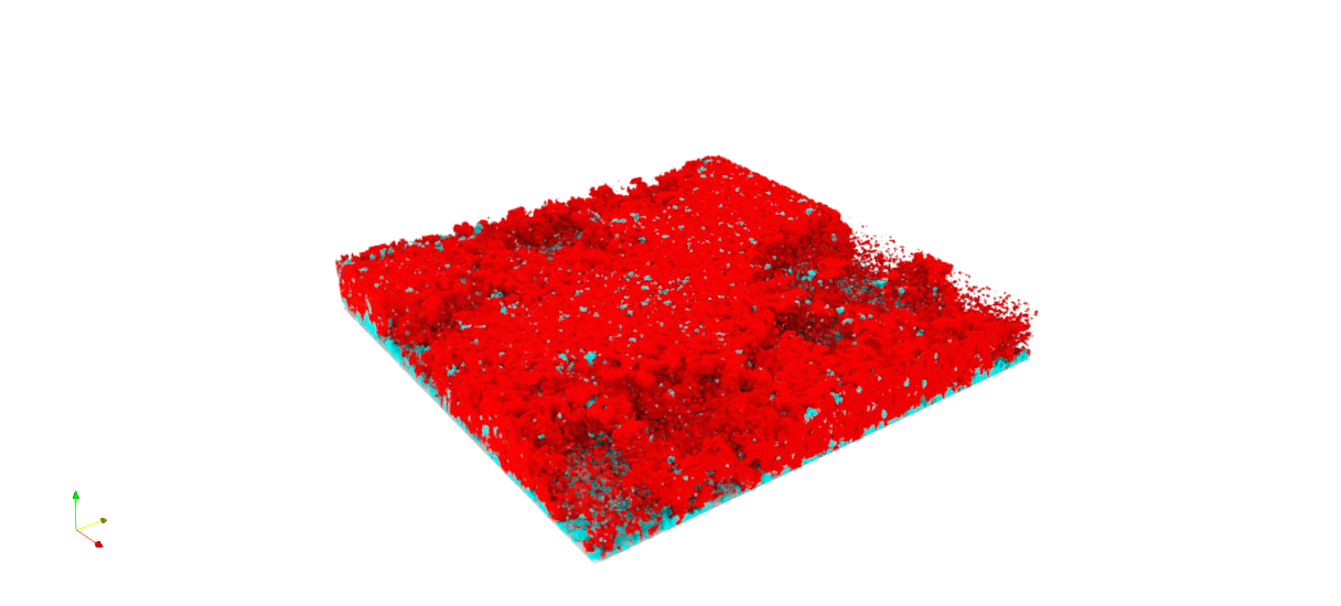 3D reconstruction of P. aeruginosa–B. fragilis coculture before antibiotic treatment