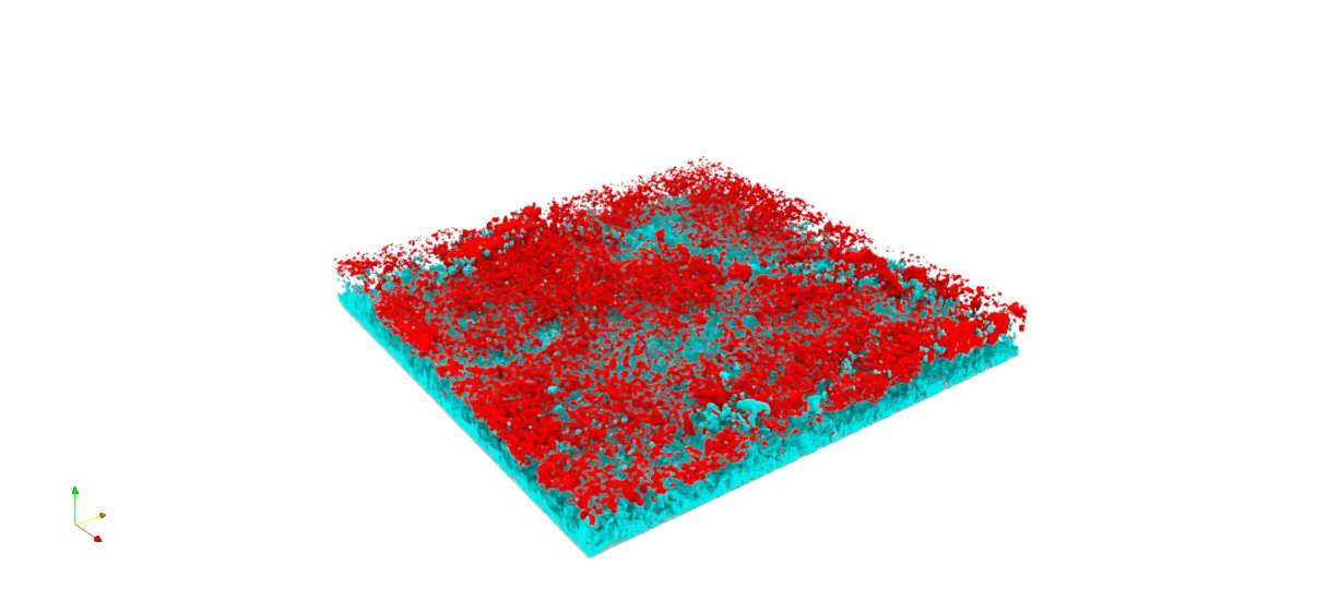 3D reconstruction of P. aeruginosa–B. fragilis coculture after antibiotic treatment